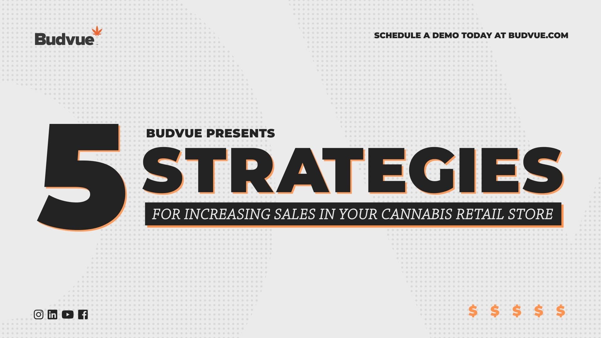 Cannabis Retail Strategies