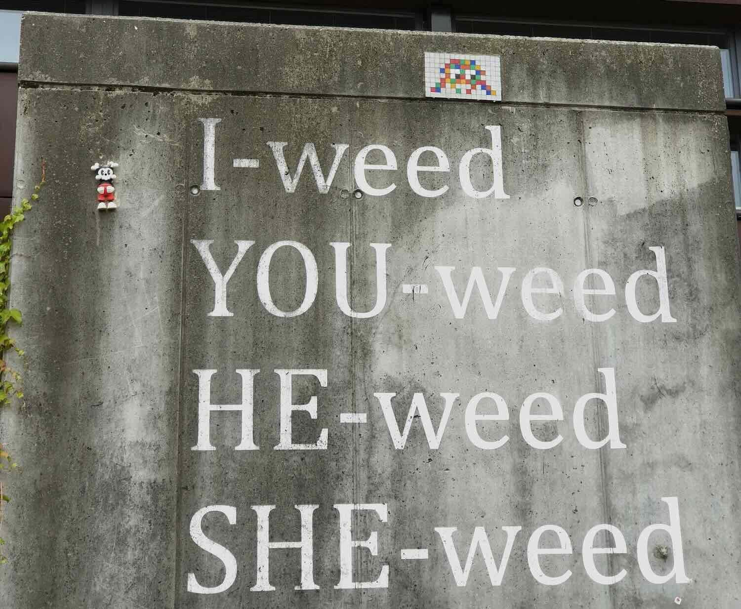 Cannabis Marketing Compliance 101: What You Can Legally Say in 2025